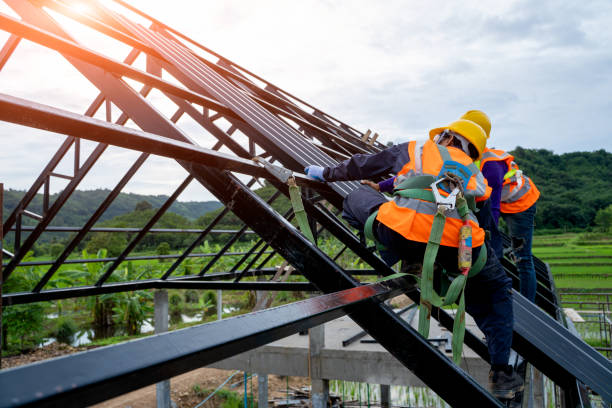 Best Roof Gutter Cleaning  in Wellington, TX